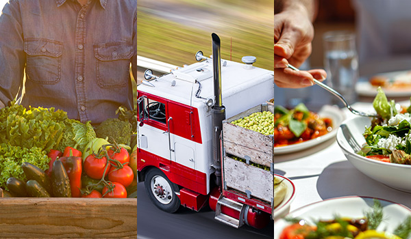 Truy xuất nguồn gốc thực phẩm từ trang trại đến bàn ăn