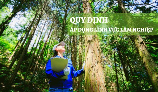 Các tiêu chuẩn và quy chuẩn hiện nay áp dụng với lĩnh vực Lâm nghiệp
