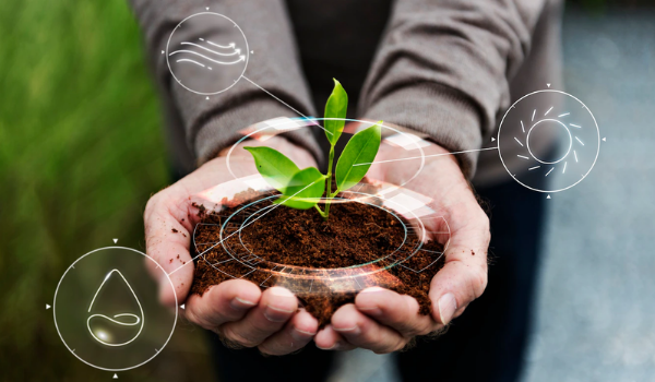 Tổng quan về ISO 14001 cho doanh nghiệp mới bắt đầu