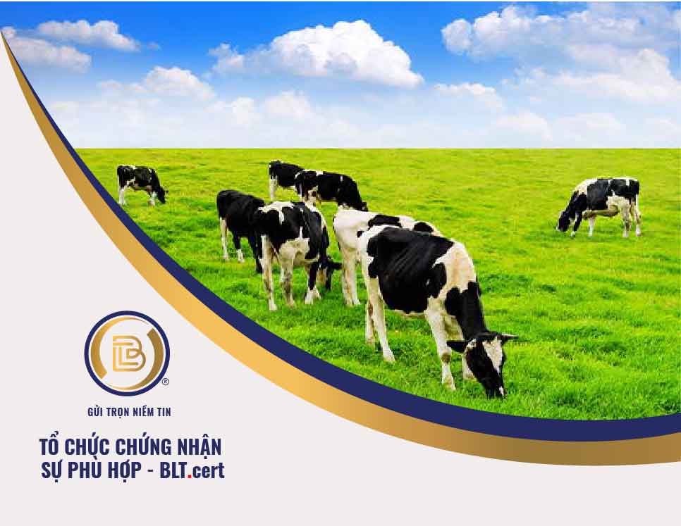 Chứng nhận hợp quy Thức ăn chăn nuôi QCVN 01-183:2016/BNNPTNT